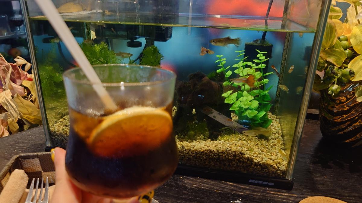 コーラにレモンスライスが嬉しい🍋