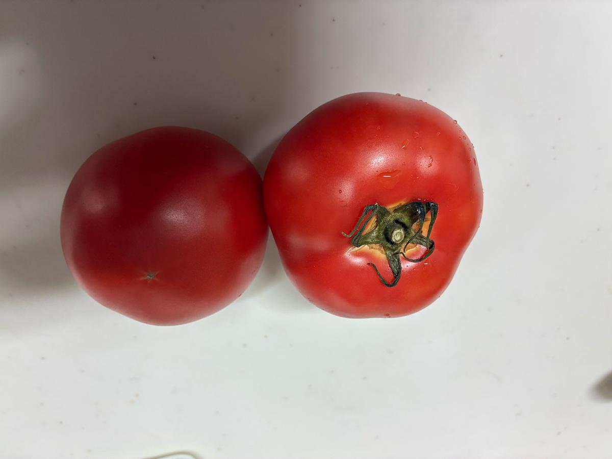 投稿画像