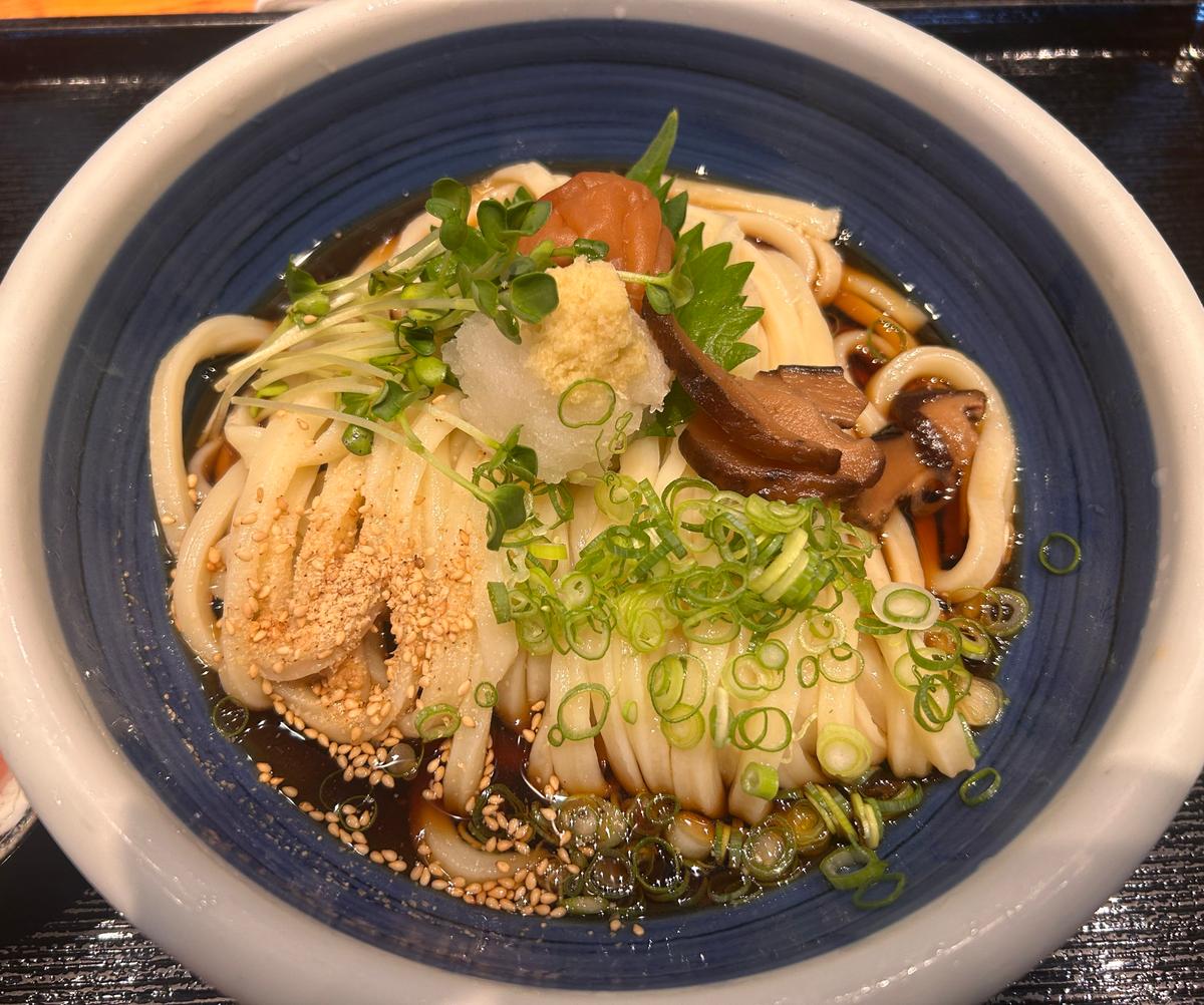 紀州梅ぶっかけうどん