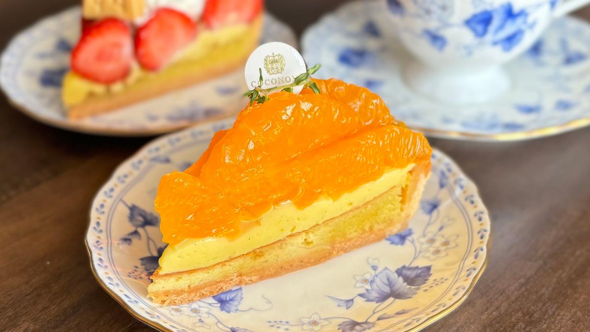 キラキラしてて宝石みたいなデコポンタルト✨