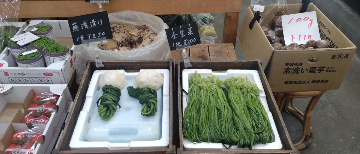 綺麗なお野菜たちに惚れました🥹✨
