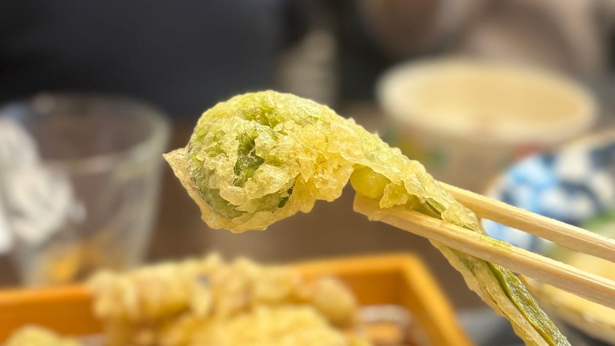 こごみの天ぷら！食感と香りがいい✨