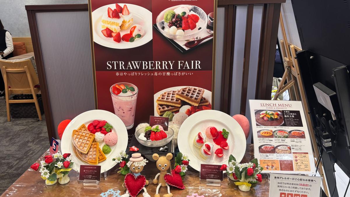 ディスプレイが綺麗で食欲そそられます♡