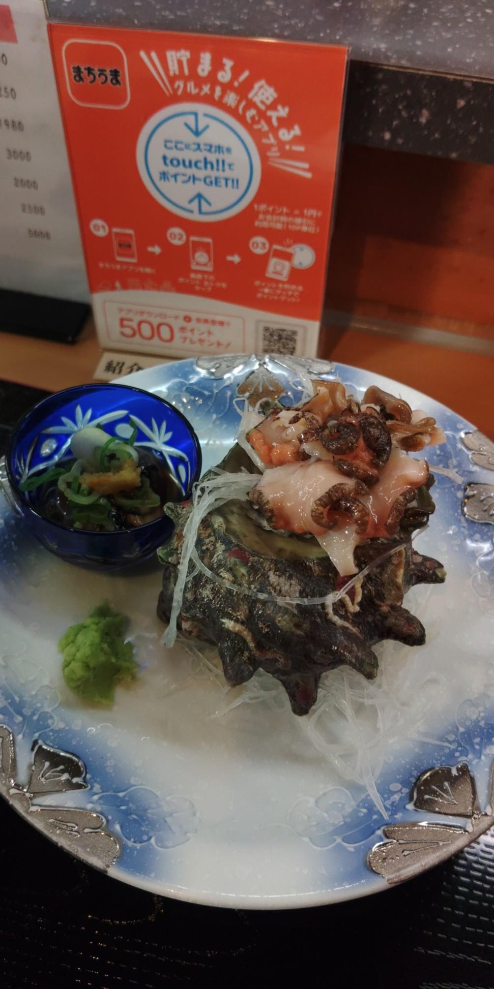 サザエのお造り🐚