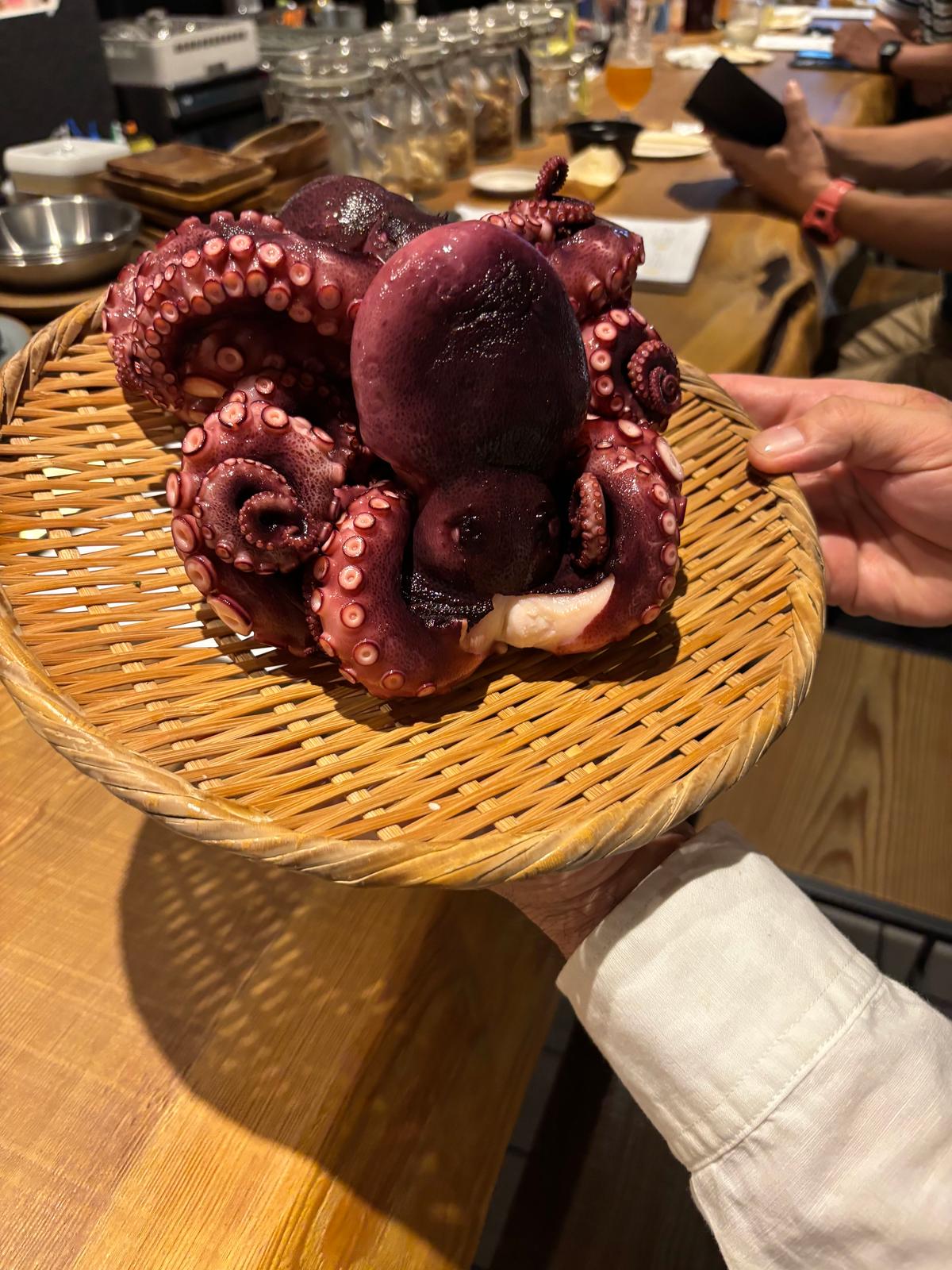 たこ・蛸・多幸