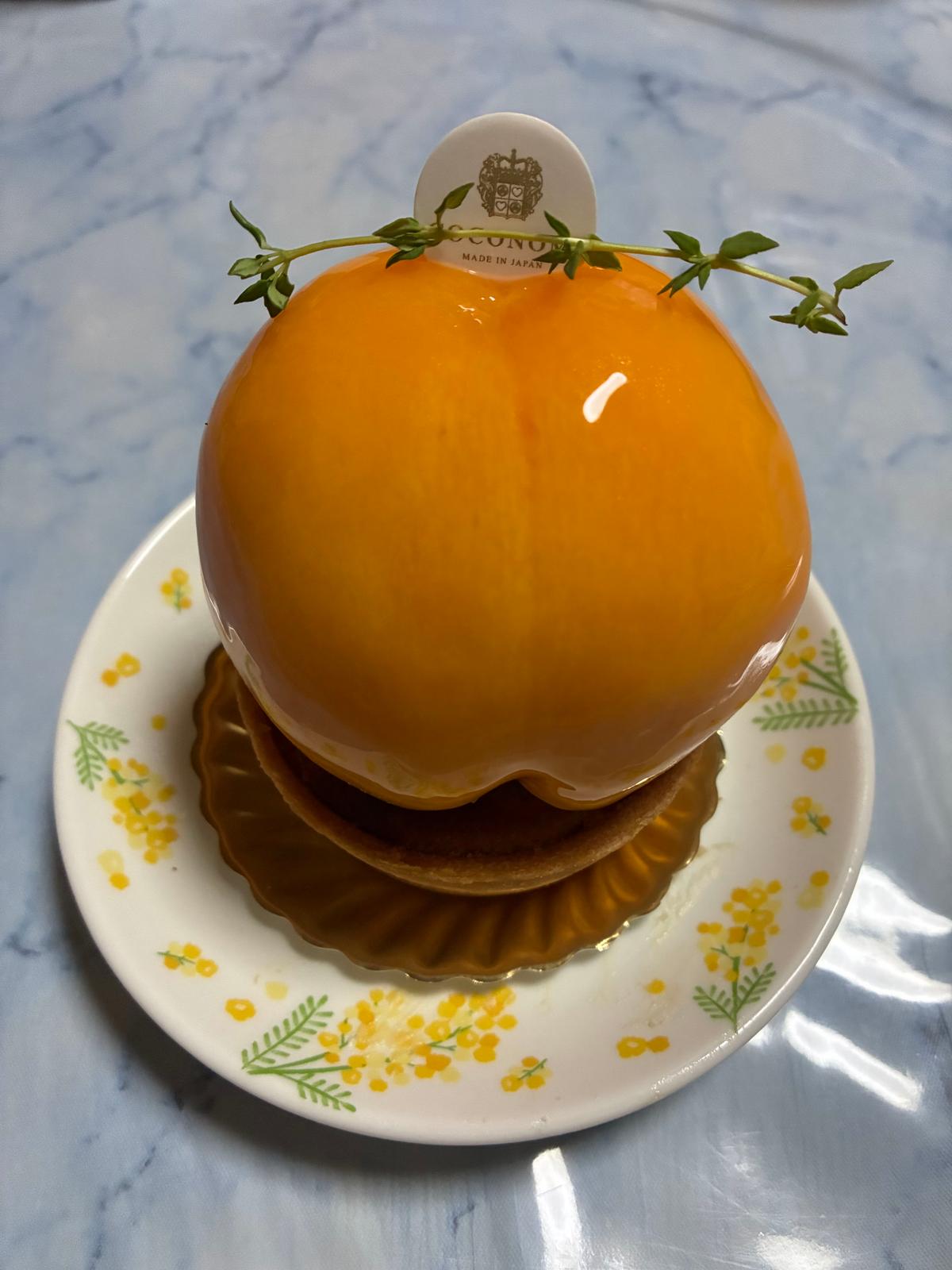 ふぉとじぇにっく
