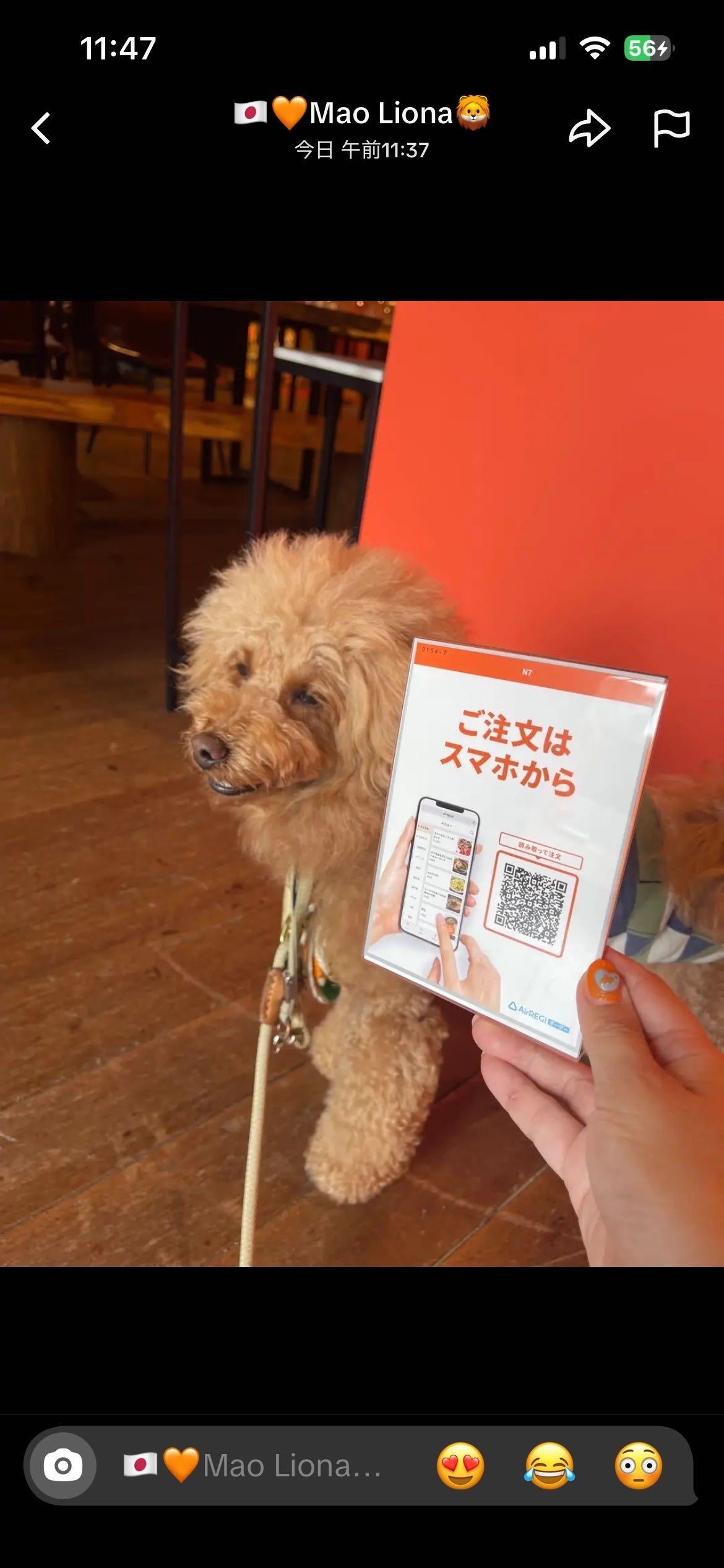 オーダーはQRコードでもできます