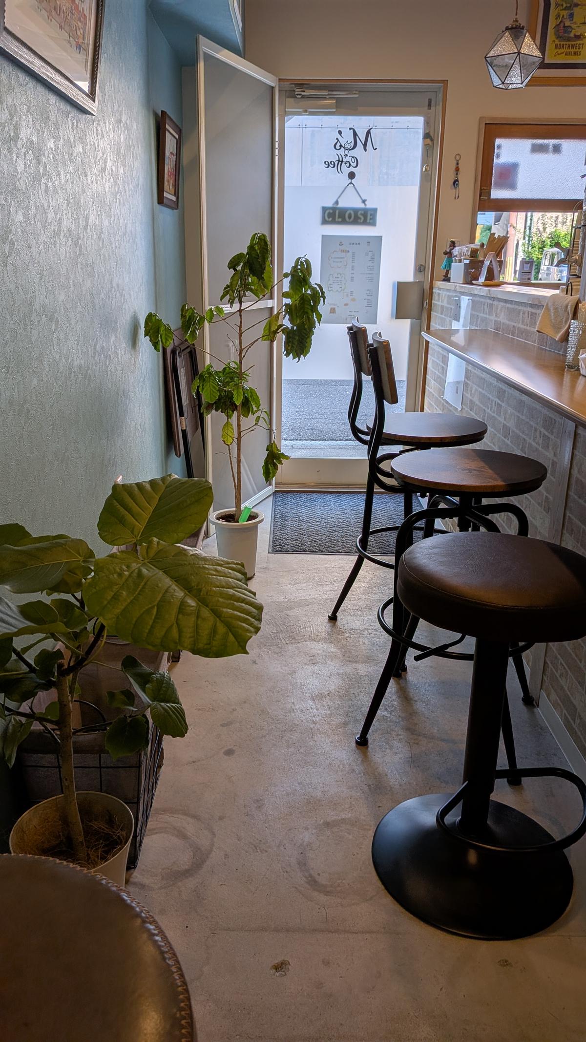 店内一番奥の席から。植栽の葉っぱをかき分けながら入る感じです(笑)