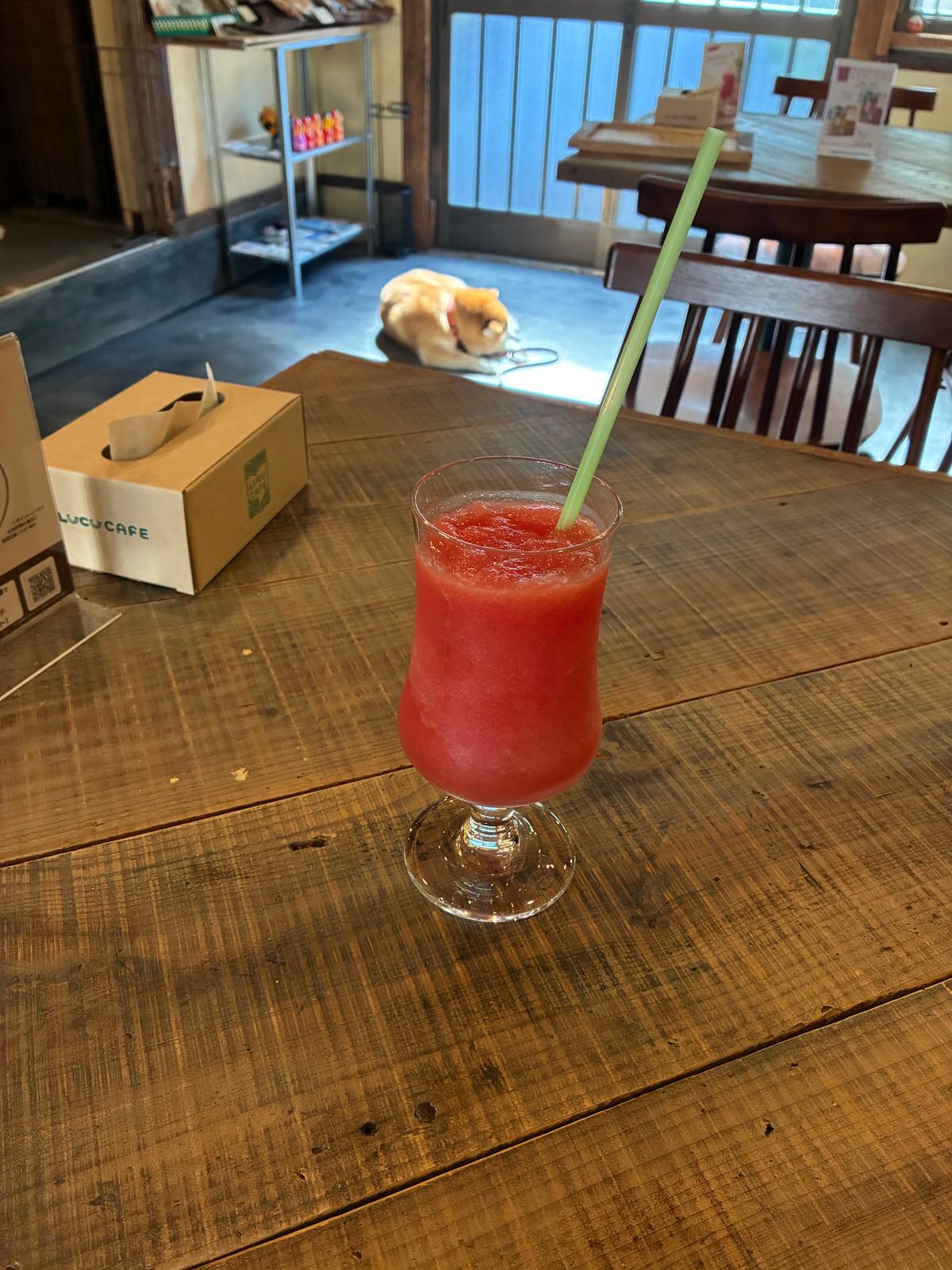 スイカの向こうに、ももちゃん