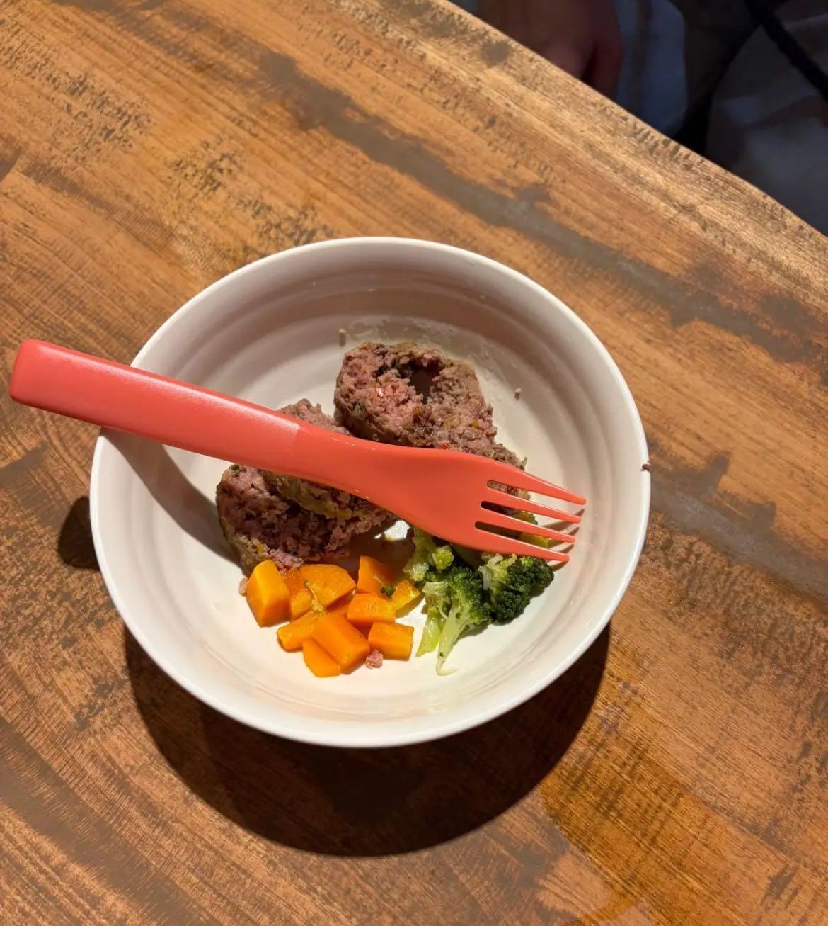 わんこのお食事