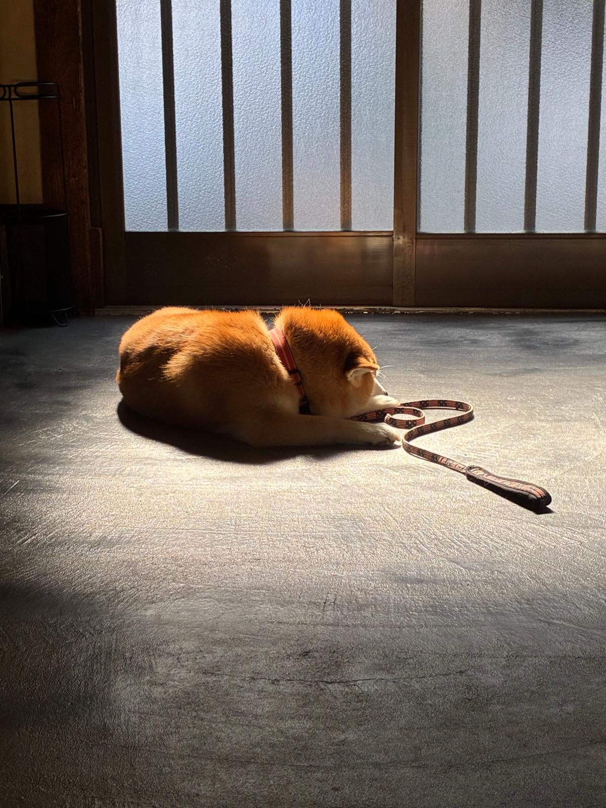 そのアップ♡