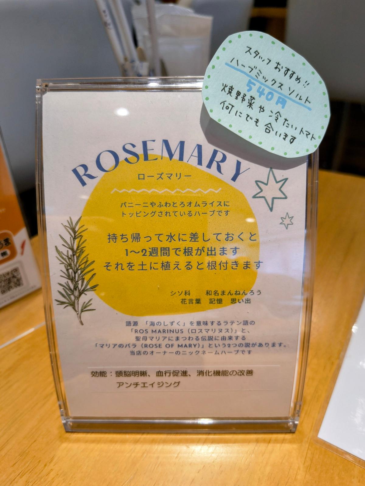 ローズマリー育ててみる😍