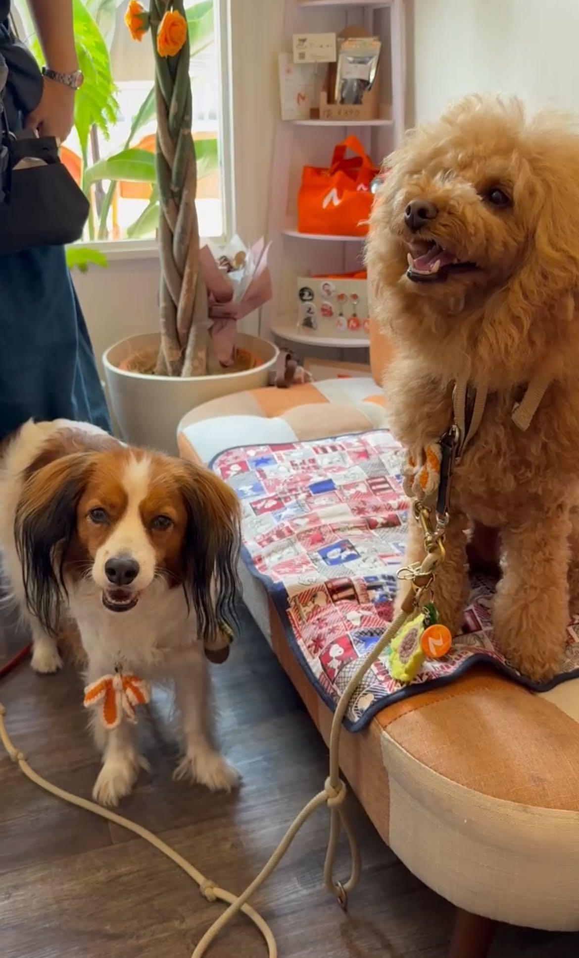 ニレ君とマオ君