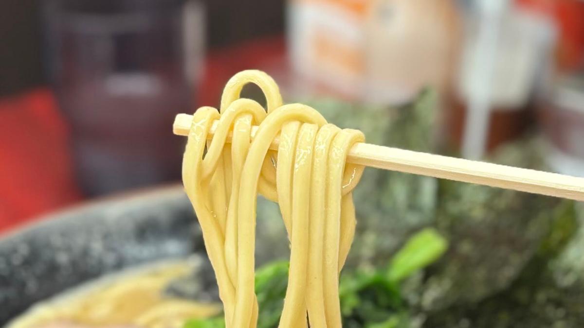 自家製の中太麺が食べ応えしっかり!スープを吸いやすいので注意!